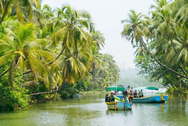 Mangrove Island Boating